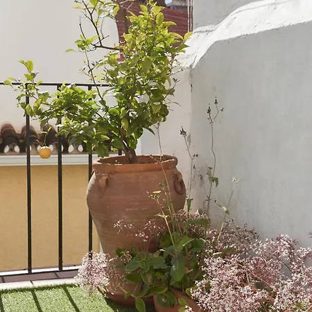 Solarium Terrace 160m2 شقة *